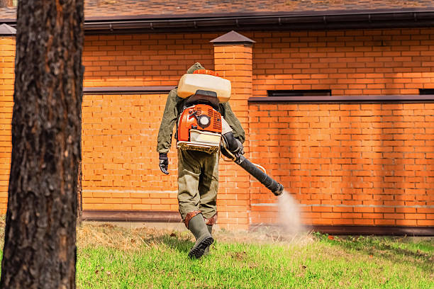 Trusted Termite Control service in Fleetwood, PA - Nex Pest Control